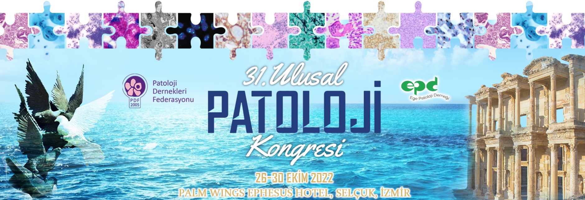 31. Ulusal Patoloji Kongresi